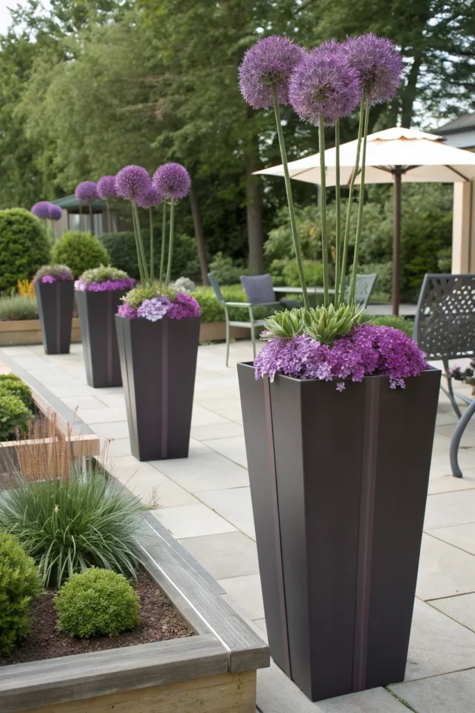 13 Plants That Repel Mosquitoes and Where to Place Them at Home 13 LP12