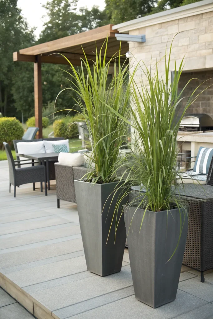 13 Plants That Repel Mosquitoes and Where to Place Them at Home 4 LP3