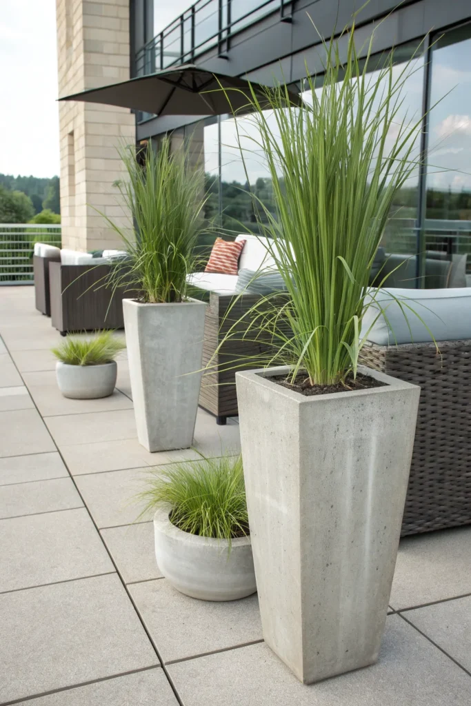 13 Plants That Repel Mosquitoes and Where to Place Them at Home 8 LP7