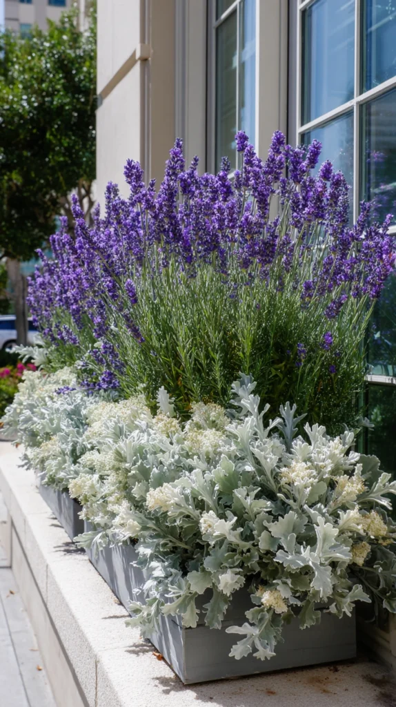 15 Spring Window Box Ideas for Curb Appeal 10 vs 9