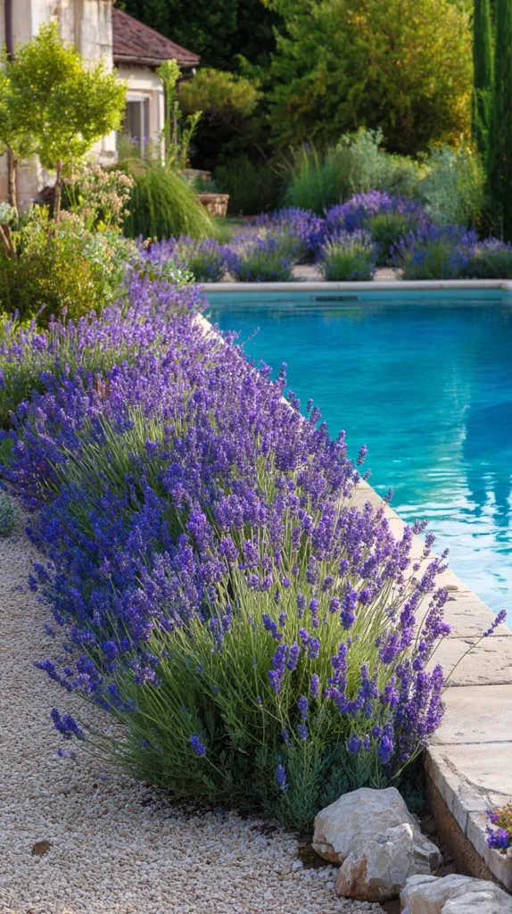 15 Spring Poolside Flower Ideas for a Colorful Surround 2 ew 1
