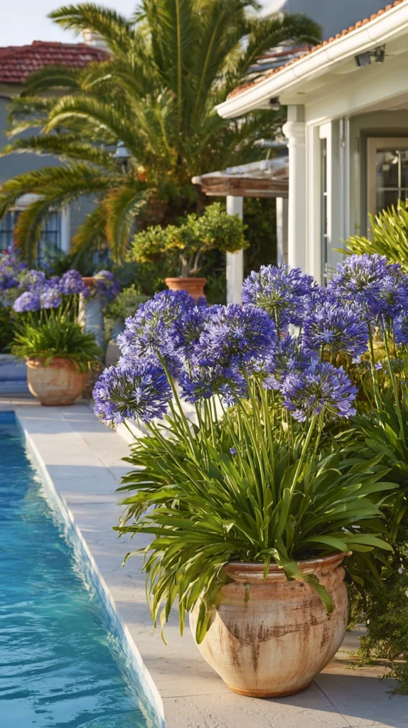 15 Spring Poolside Flower Ideas for a Colorful Surround 3 ew 2
