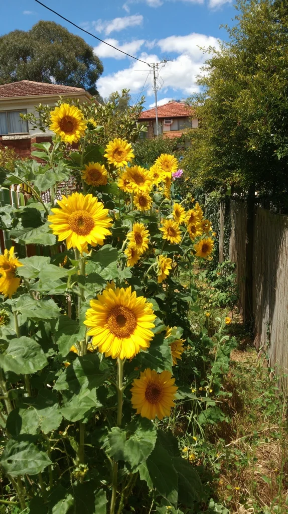 15 Big Flower Garden Ideas 12 qf 11 5