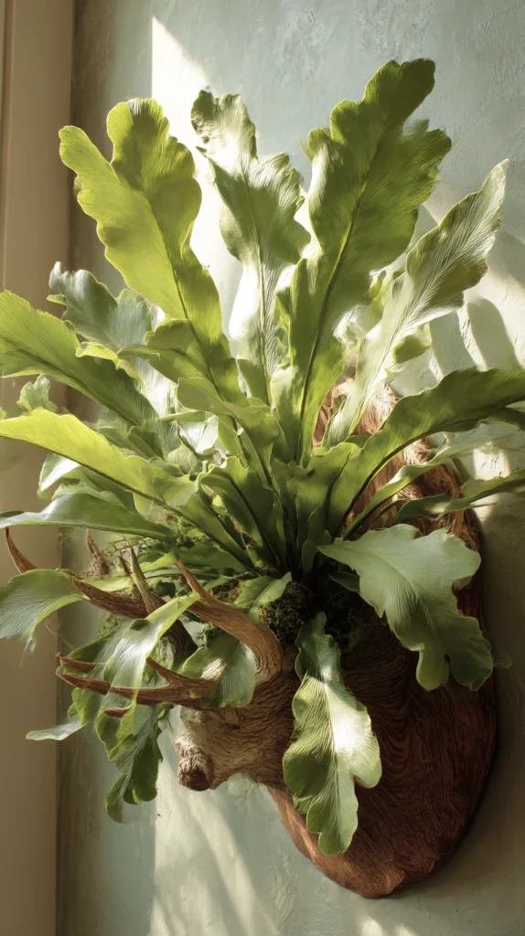 15 Non-Toxic, Pet-Friendly Plants That Grow in Low Light 16 ca 15 1