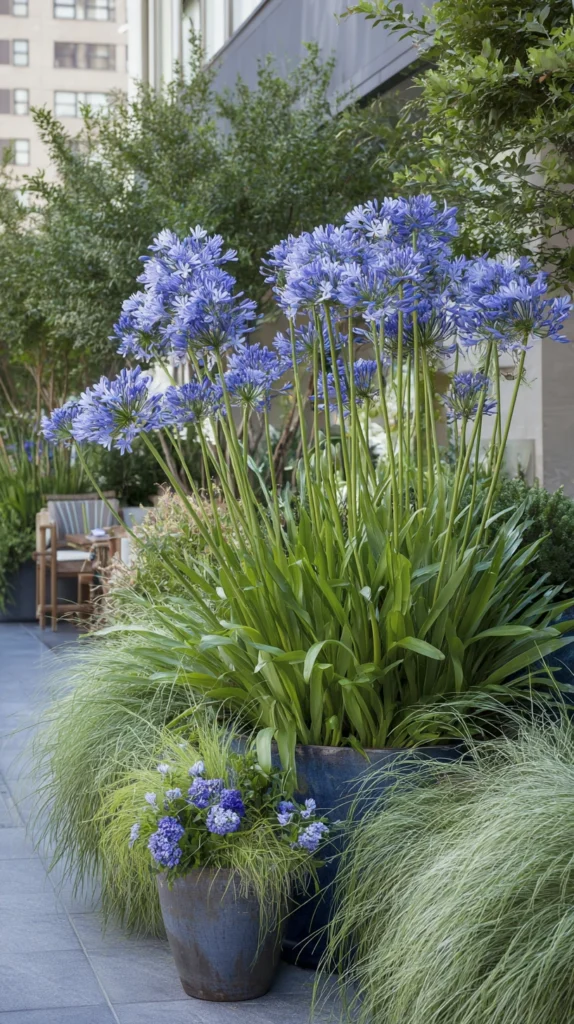 14 Patio Plant Pairings That Instantly Elevate Your Outdoor Space 7 ju 6