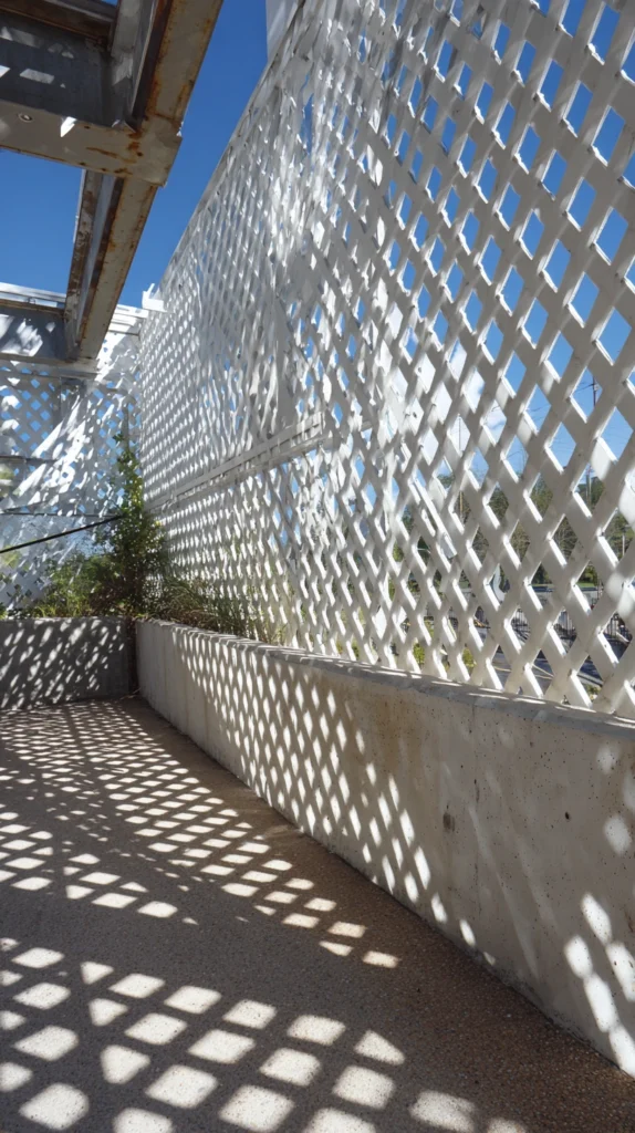 15 Patio Planting Ideas for Colorful Outdoor Spaces 5 va 4