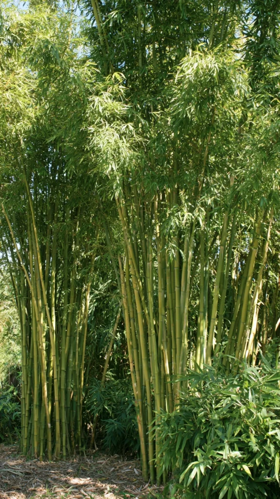 15 Tropical Garden Ideas for South Florida Backyards That Practically Grow Themselves 3 hj 2
