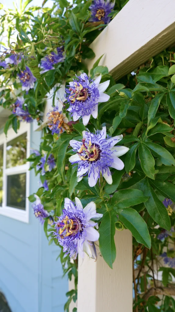 15 Tropical Garden Ideas for South Florida Backyards That Practically Grow Themselves 8 hj 7