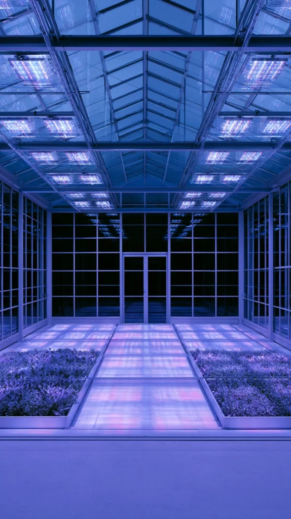 15 Home Greenhouse Ideas for Year-Round Growing 10 ed 9 10